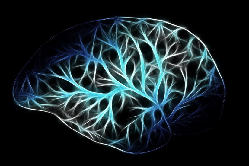 illustration of brain in blue colors on black background - neural